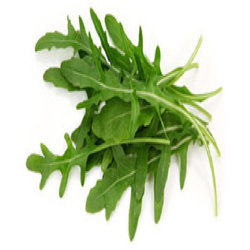 Salade Roquette Salade Roquette