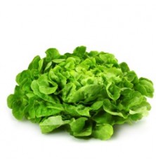 Salade Krisette