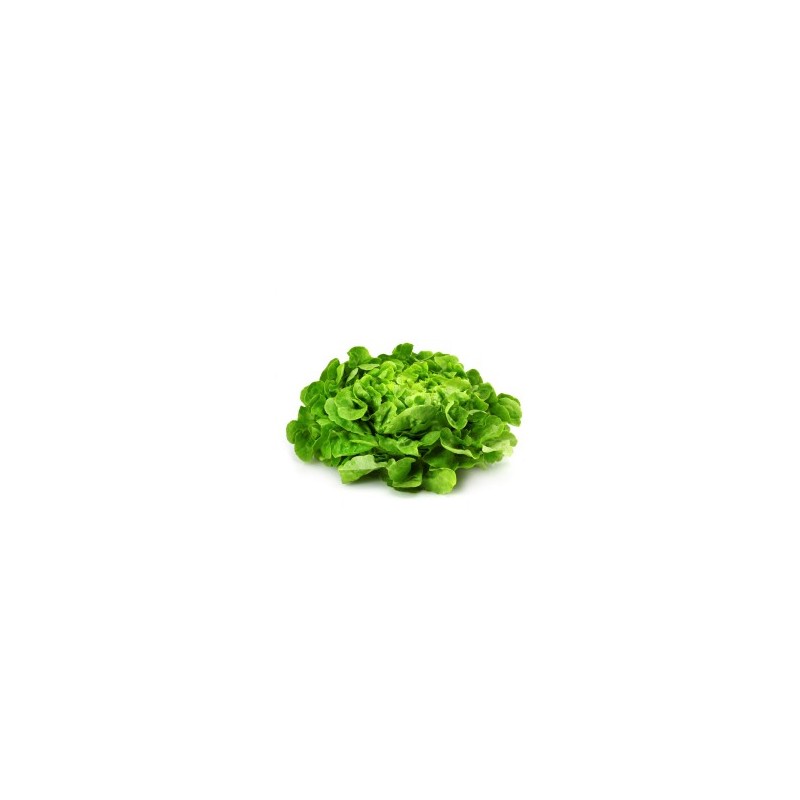 Salade Krisette Salade Krisette