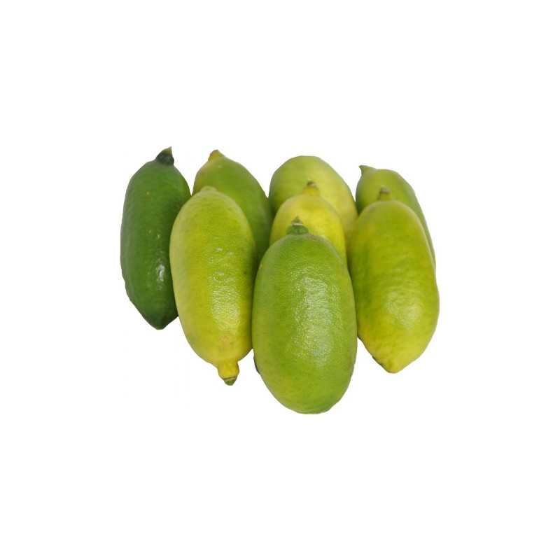 Citron Caviar (100 g) Citron Caviar (100 g)