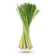 Citronnelle Baton