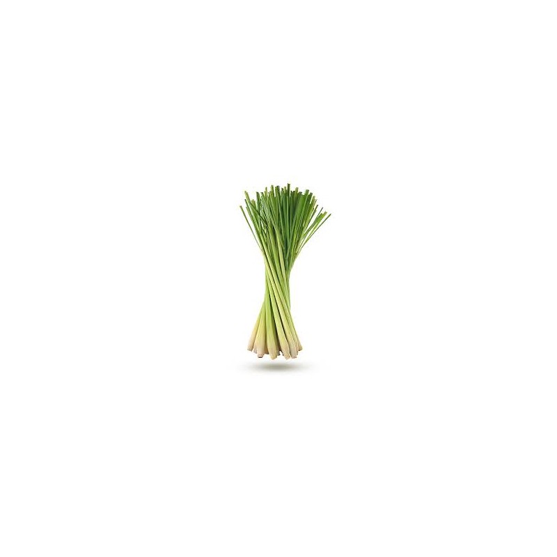 Citronnelle Baton Citronnelle Baton