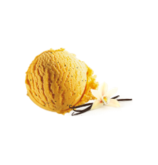 Glace Vanille Bourbon  2.4 L