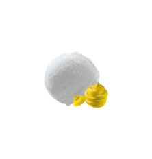 Sorbet Citron Vert Bac  2.4 L