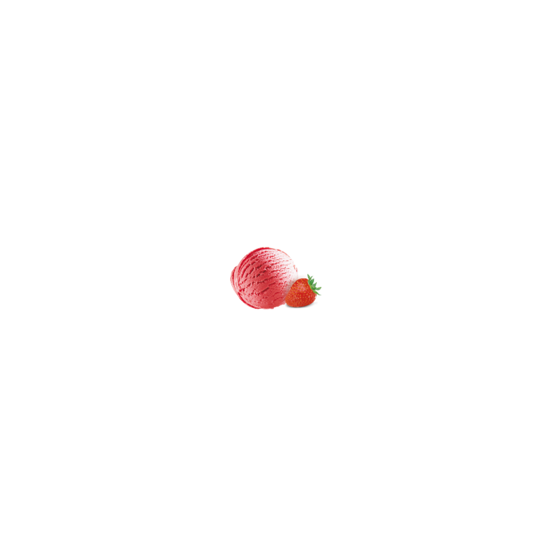 Sorbet Fraise 2.4 L Sorbet Fraise 2.4 L