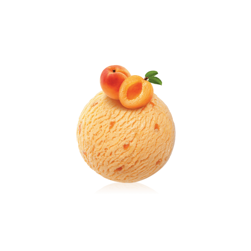 Sorbet Abricot Bac 2.4 L Sorbet Abricot Bac 2.4 L