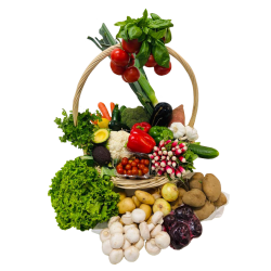 panier de légumes