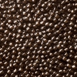 caviar Baeri