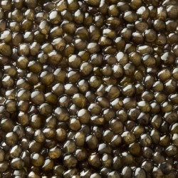 caviar oscietre prestige