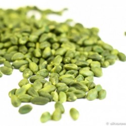 Pistache Émondée Verte Iran