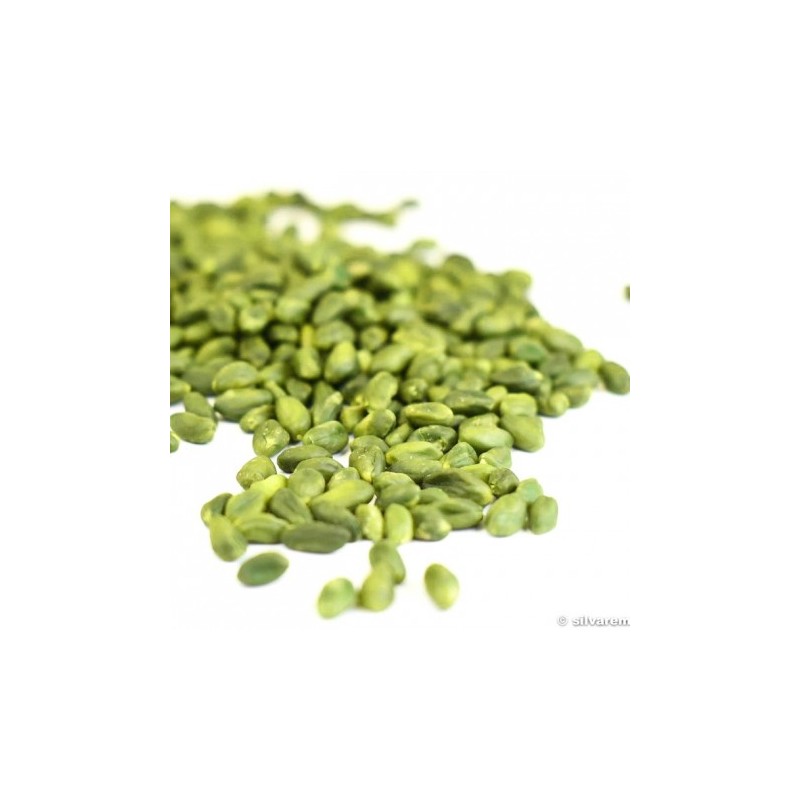 Pistache Émondée Verte Iran Pistache Émondée Verte Iran