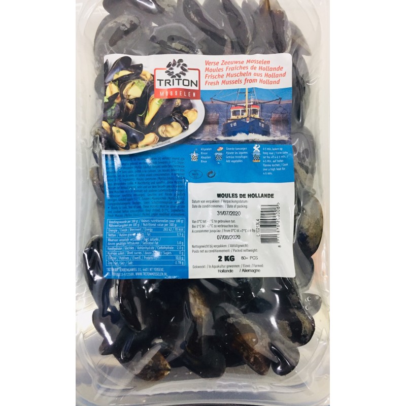 Moule Elevage Hollande Moule Elevage Hollande