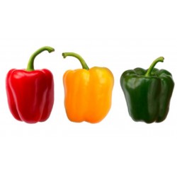 Poivrons tricolores