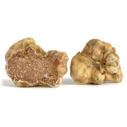 Truffes Blanches d’Alba...