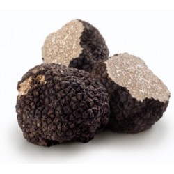 Truffes Noires fraîches -...