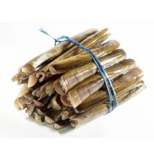 Couteau de mer  1 kg