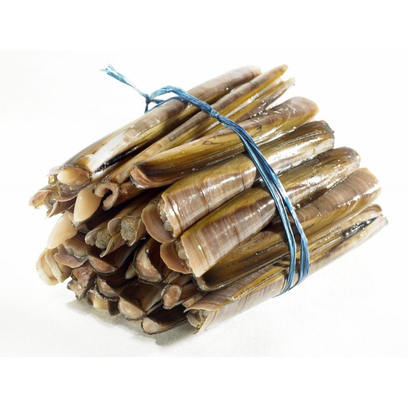 Couteau de mer 1 kg Couteau de mer 1 kg